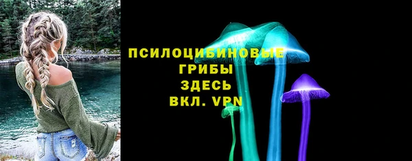 хмурый Бородино