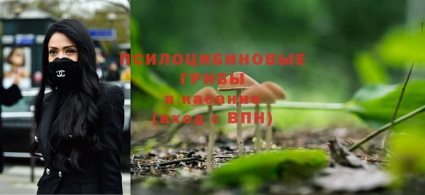 хмурый Бородино