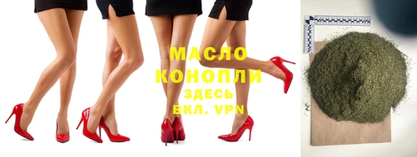 хмурый Бородино