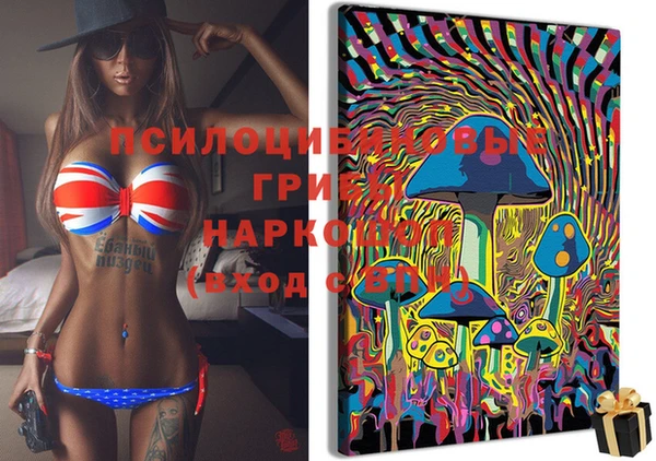 хмурый Бородино
