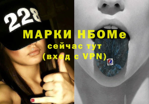 хмурый Бородино