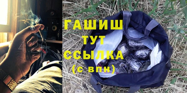 хмурый Бородино