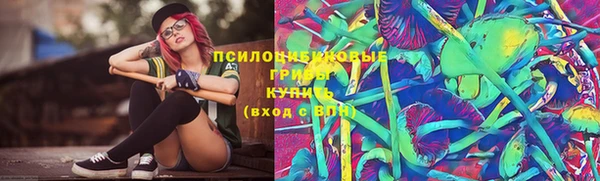 гидропоника Бронницы